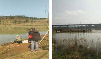 区畜牧局开展春季渔政巡查，保障畜牧渔业饲料销售安全