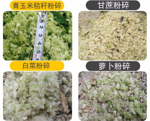 小型牧草切草机 多功能家用铡草机与玉米秸秆揉丝机报价指南