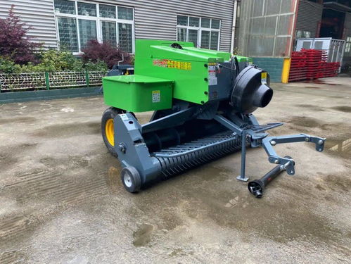 饲料成本占养殖70%？节本增效的实用策略