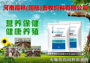 八重豪礼，巅峰钜献 河南得邦国际与火爆网携手，共谱畜牧饲料行业新篇章