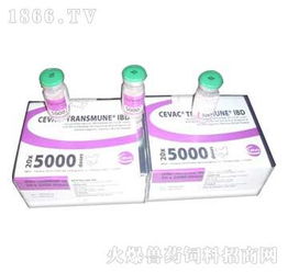 郑州翰威畜牧科技 兽药饲料火爆招商，赋能现代畜牧渔业新篇章