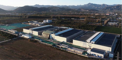 丰收时节谱新篇 2024中国农民丰收节聚焦畜牧水产品质提升与饲料销售新动能