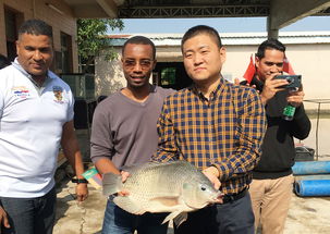 2019年海上丝绸之路国家水生动物健康管理及检验检疫研修班项目圆满落幕，成果丰硕助力畜牧渔业饲料销售市场拓展