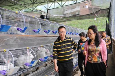 马康凤调研互助村 聚焦脱贫攻坚与畜牧渔业饲料销售新路径